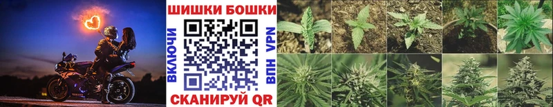 Купить где  Заозёрск  Конопля план 